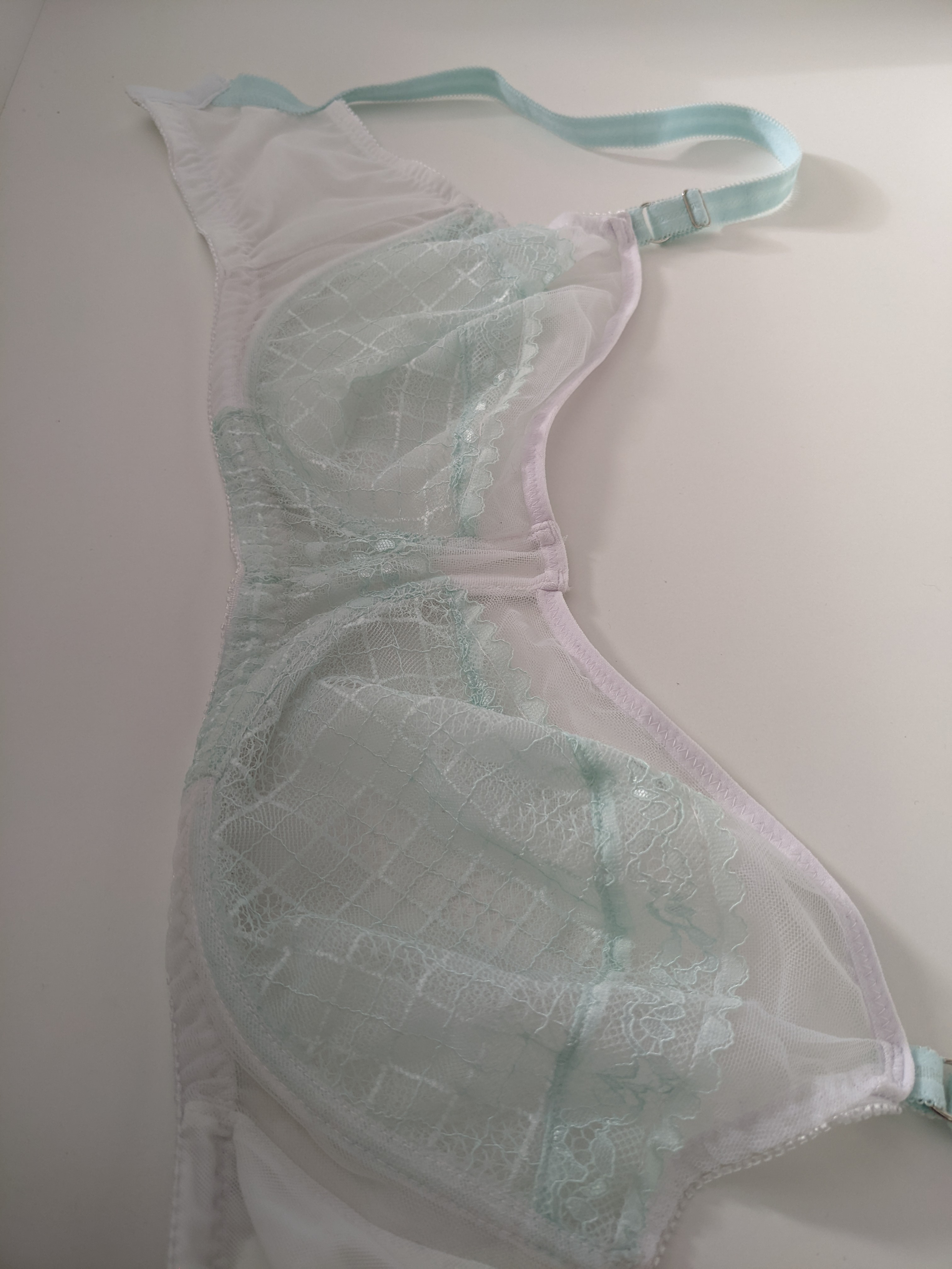 A tulle and lace bra